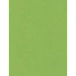  100lb 8 1/2 x 11 Card Stock Poptone Gumdrop Green (50 Pack 