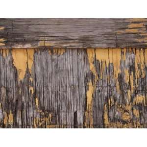  Close Up of Weathered and Rundown Wooden Surface with 