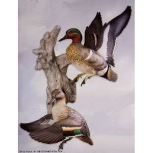  Busting Out Green winged Teal Pair Wall Mount Sculpture 