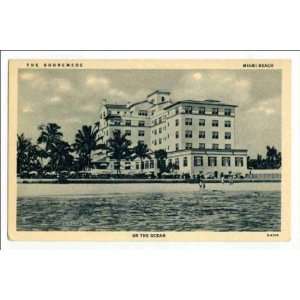  Reprint The Shoremede, Miami Beach, on the Ocean