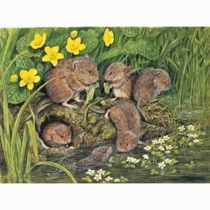  Water Voles Jigsaw Puzzle 1000pc: Toys & Games