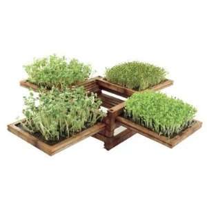    The Green Box Miniature Garden La Boite Verte: Toys & Games