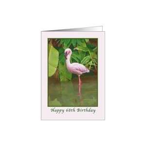  68th Birthday with Pink Flamingo Card: Toys & Games