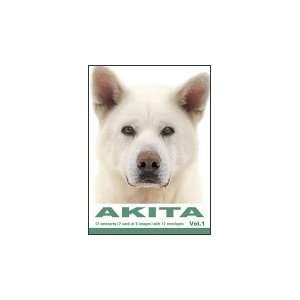  THE DOG Notecard Vol. 1   Akita