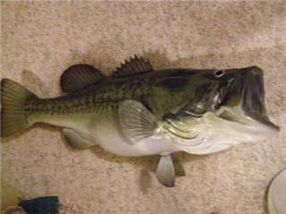 NEW! XL 10 lb 3 oz Largemouth BASS Fish Mount  