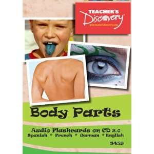 Audio/visual Flashcards on CD in Spanish French German   Body Parts