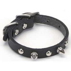  Coastal Pet Products Leather Spike Collar 3/8X10 Inch 