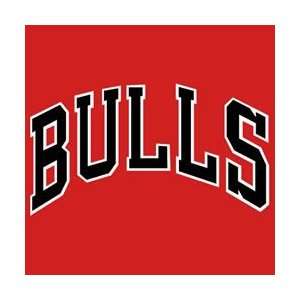 NBA Bulls Replica Shorts   Adult XXL (EA)