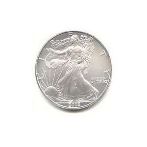    2005 Uncirculated American Eagle Silver Dollar 