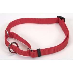  6907 1 Adjustable Collar Pet Supplies