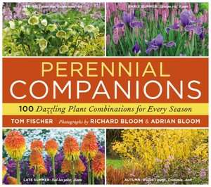   Perennial Companions 100 Dazzling Plant Combinations 