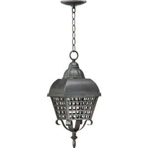  Quorum International 7378 44 1 Light Outdoor Hanging 