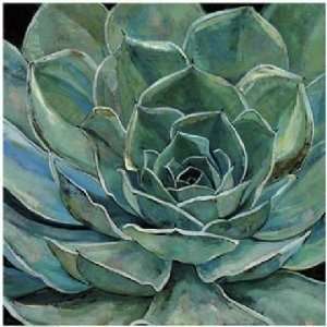  Jill Barton 35W by 35H  Agave Flower CANVAS Edge #6 1 1/4 L&R 