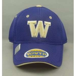 Washington Huskies Youth Elite One Fit Hat:  Sports 