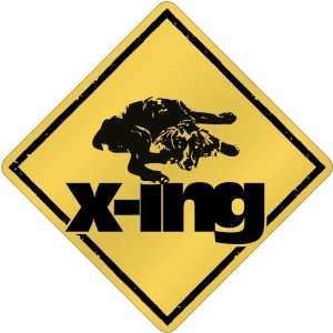  New  Boykin Spaniel X Ing / Xing  Crossing Dog: Home 