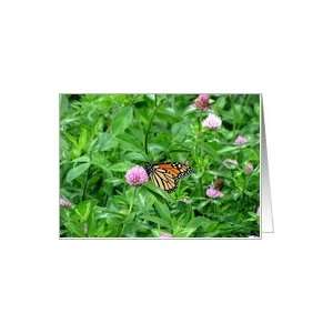 Monarch Butterfly Card