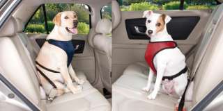 CAR HARNESSES for DOGS   Huge Selection! Low Prices!  