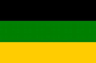 ANC 3 X 5 FEET FLAG  