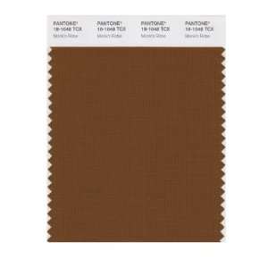   SMART 18 1048X Color Swatch Card, Monks Robe: Home Improvement