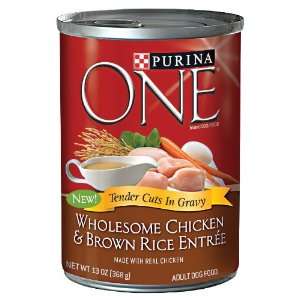   ONE Wholesome Chicken and Brown Rice Canned Dog Food: Pet Supplies