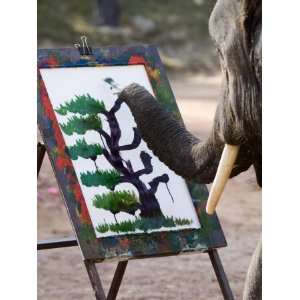 Elephant Painting, Chiang Mai, Thailand, Southeast Asia Photographic 