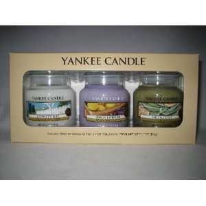 Yankee Candle Company Summer Jar Candle Set   Gift Box of THREE! Clean 