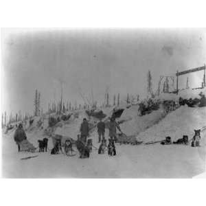 teams,Postal Service,dog sled teams,Montauk US Mail Station,Alaska,AK 