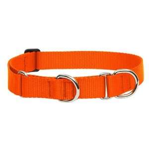  1 Blaze Orange 15 22 Combo Collar: Pet Supplies