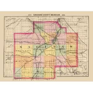  SAGINAW COUNTY MICHIGAN (MI) MAP 1873: Home & Kitchen