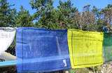   than to put prayer flags up for the benefit of other living beings