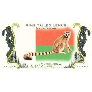   National Animals #NA46 Ring Tailed Lemur   Madagascar: Everything Else