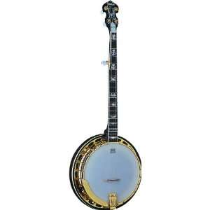  Washburn B17 5 string Banjo   with Hardshell Case: Musical 