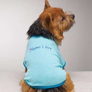  Mamas Boy Dog t shirt Large: Everything Else
