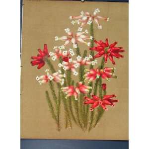Horticulture Flower Plant Colour Antique Print C1880 