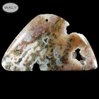 Petrified Wood Opal Pendant bead U103013  