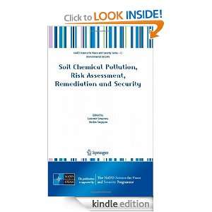  Soil Chemical Pollution, Risk Assessment, Remediation and 