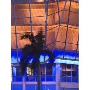  Neon Light and Palm, South Beach, Miami, Florida Premium 