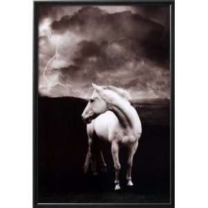  White Horse in Stall Animal Framed Poster Print, 26x38 