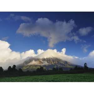 Mount Taranaki National Park (Mount Egmont National Park), New Zealand 