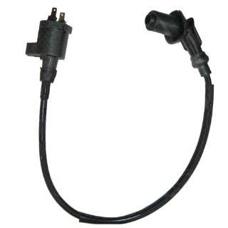   : Ignition Computers, Spark Plugs, Ignition Coils, Spark Plug Wires