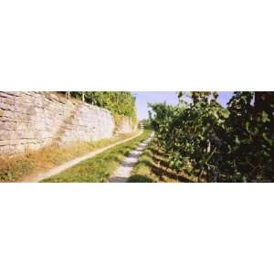  Gravel Road Passing Through Vineyards, Vaihingen an Der 