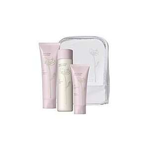   ARTISTRY essentials Skin Care System   Balancing 788821032409: Beauty