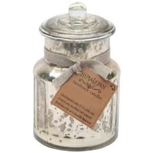 Himalayan Trading Post General Store Silver Jar Soy Candle, Anise and 