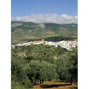 El Burgo Village and Olive Groves Surrounded by Cloud Topped Mountains 
