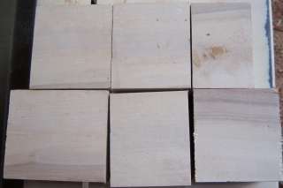 Lot Six AD Tupelo Song Bird Carving Blanks Wood Blocks  
