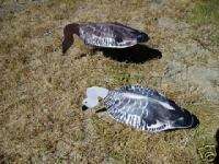 1dz. New Sillosock Magellan Goose Decoys  