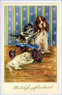 vintage cat postcard dog sees cats ride trike tricycle  