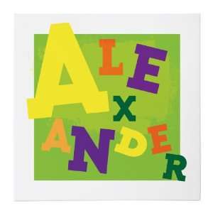  Jumbled Alexander 20x20 Gallery Wrapped Canvas Baby