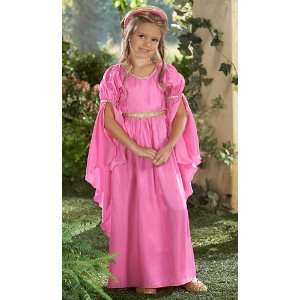    Fairy Tale Renaissance Maiden Child Costume Med: Home & Kitchen