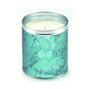  Aunt Sadies Ocean Vines Candle